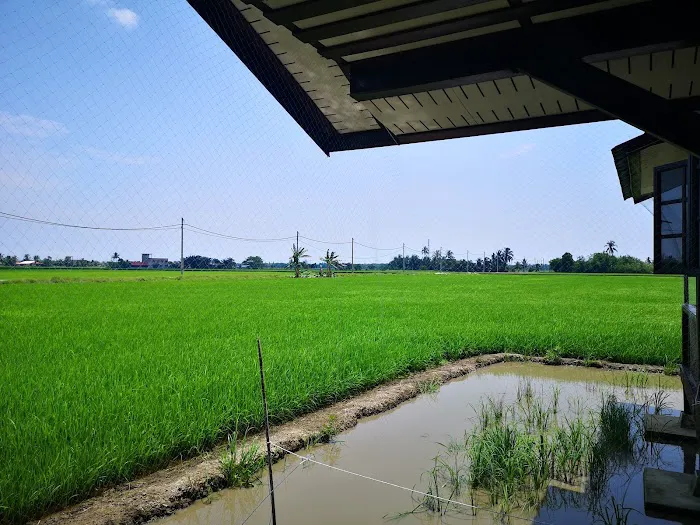 Homestay Omah Sawah Hj Saroni Picture 2