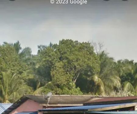 Rumah wak idon