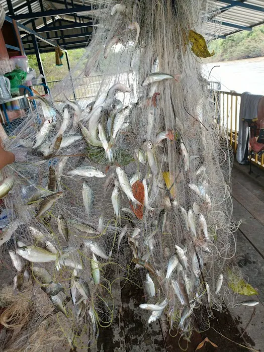 Rumah Rakit Kelola Maju Picture 6