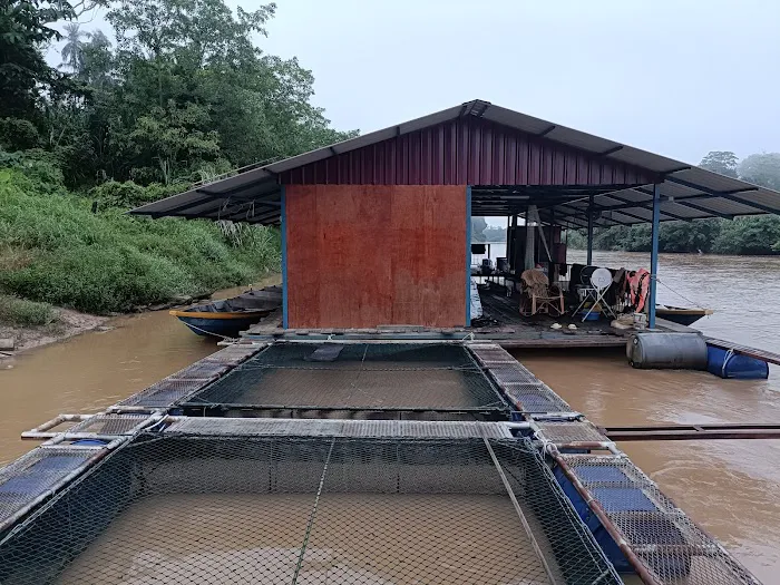 Rumah Rakit Kelola Maju Picture 9
