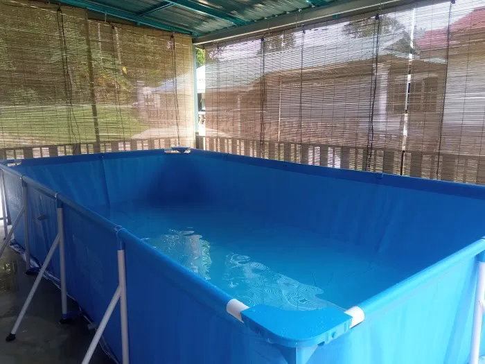 Bonda Tom Homestay dan Roomstay(LY Cottage) Felda Jengka 8 with pool Picture 6