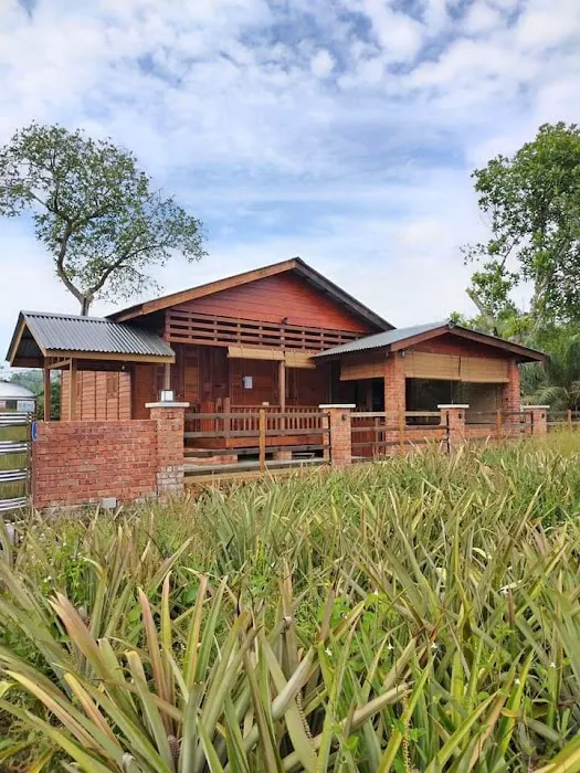 Rumah Kebun Hajar di Kebun Nanas Picture 10