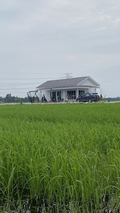 Rumah putih Picture 1
