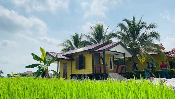 Tamu Tok Man Homestay Picture 7