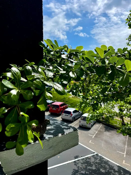 Hotel Villa Picture 2