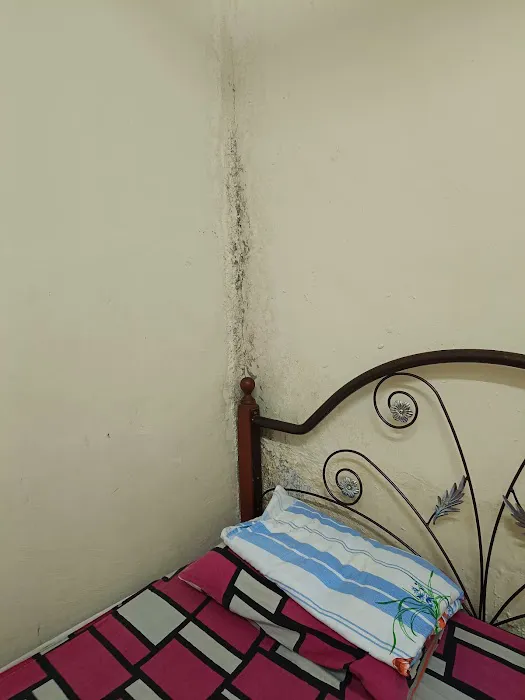 ALI KHAN HOMESTAY JEMPOL Picture 1