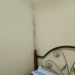 ALI KHAN HOMESTAY JEMPOL