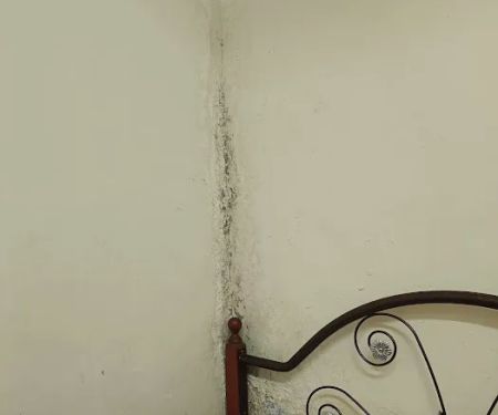 ALI KHAN HOMESTAY JEMPOL
