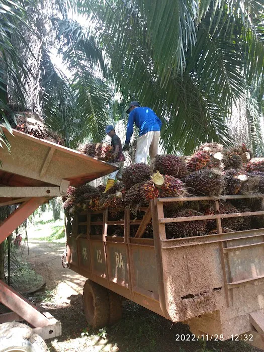 Felda Raja Alias 5 Ashrama Picture 6
