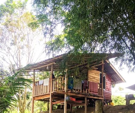 Homestay & Campsite Sekoh,Kuala Krau