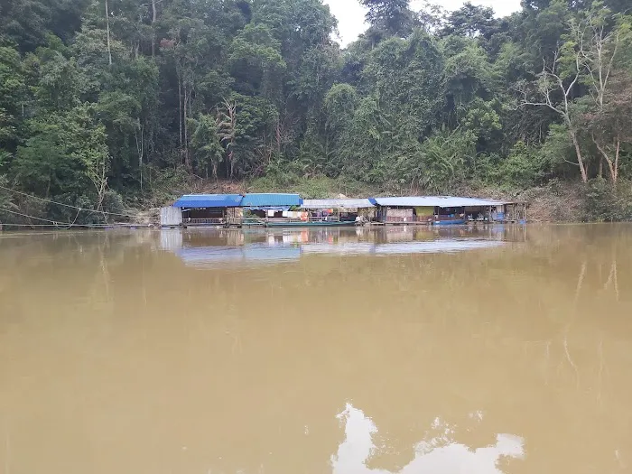 Rumah rakit temerloh Picture 2