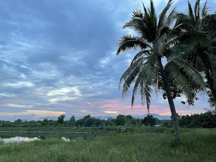 LKIM Setiu Shrimp Farm Picture 3