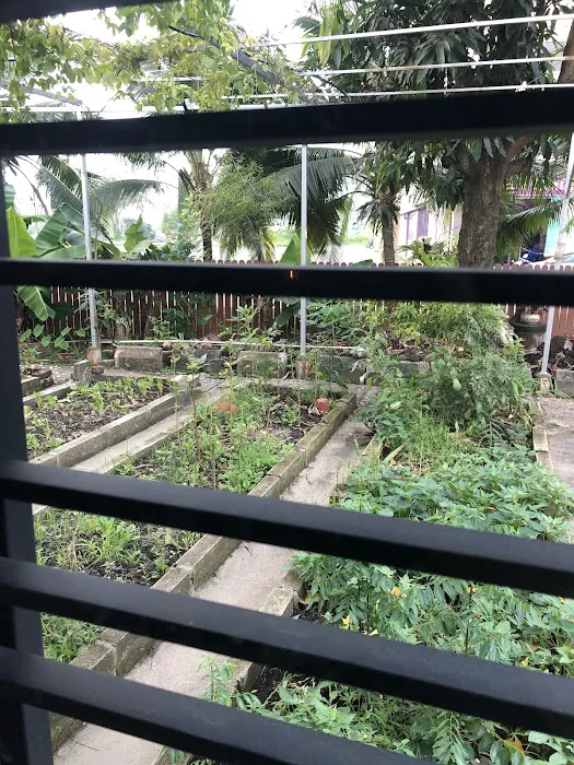 Garden Home Klang Picture 2