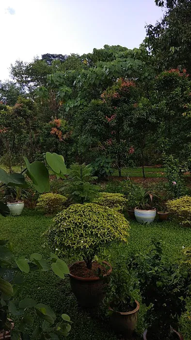 Ohana Hills Picture 4