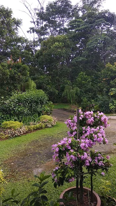 Ohana Hills Picture 5