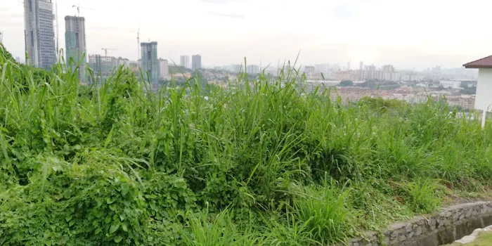 NASOM Taman Supreme Picture 1