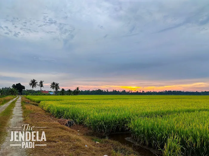 The Jendela Padi Resthouse Sekinchan Picture 7