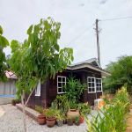 Homestay Teratak Impian Azmi Hasnah