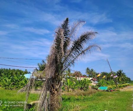 Teratak Bonda Masitah
