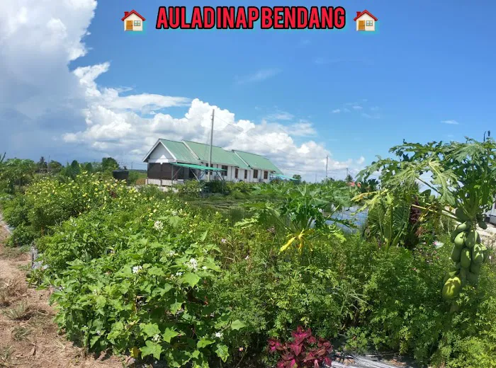 Aulad Inap Bendang Picture 9