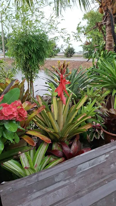 Che'Hani homestay Picture 7