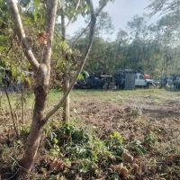 Wolfland Touring Park ico