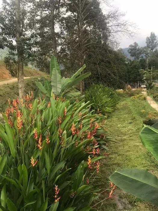 Happy Valley Eco Farm Picture 10