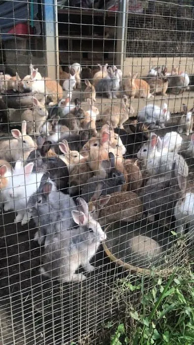 Happy Valley Eco Farm Picture 5