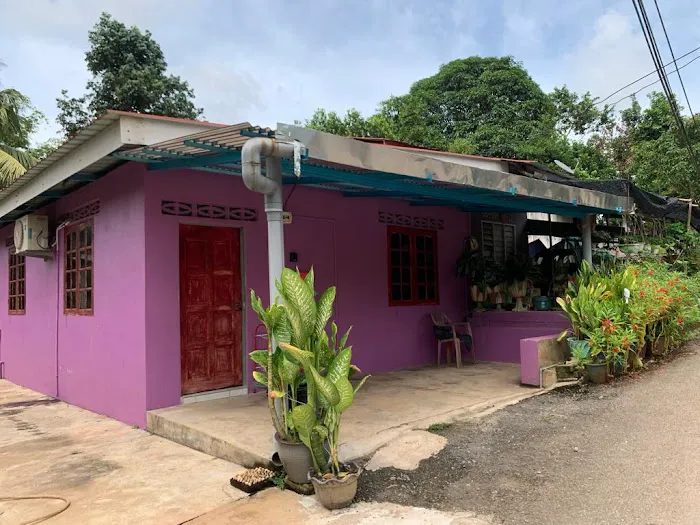 Shamaz Homestay Dabong Picture 4