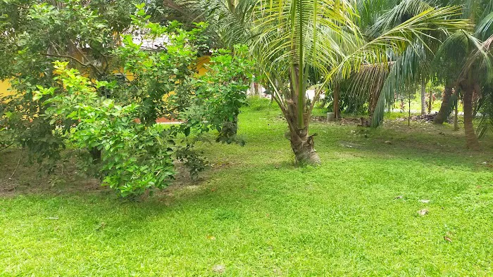 Homestay Hj Zul Bahau Picture 8