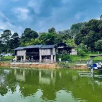 Home Away Home 归田园居 ico