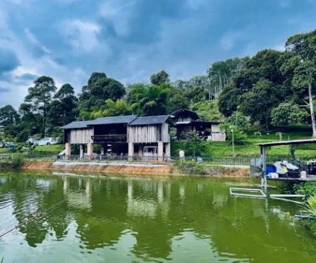Home Away Home 归田园居
