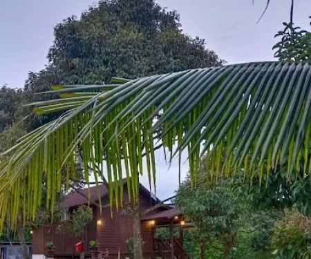 Wood Story Retreat