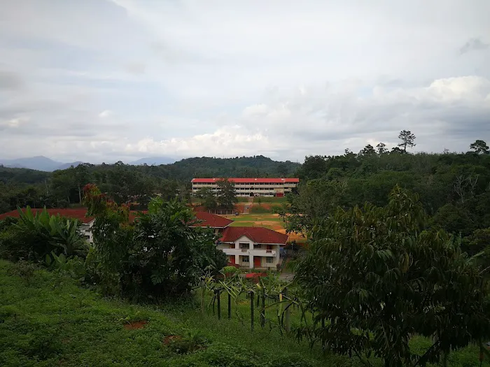 Drmind Farm Picture 4