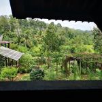 Drmind Farm