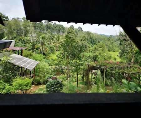 Drmind Farm