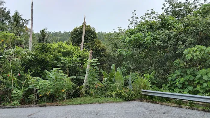 AYUYA HOMESTAY JELEBU Picture 4