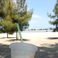 Sahroni Homestay Tanjong Karang ico