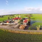 Homestay robize tomyam tanjung karang