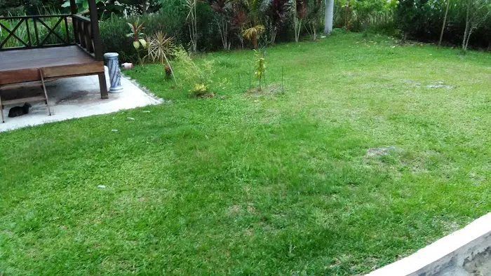Dir's Homestay Pelangai Picture 10