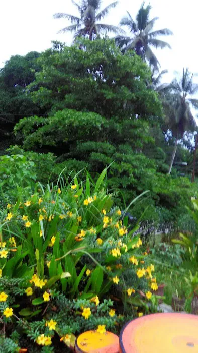 Dir's Homestay Pelangai Picture 6