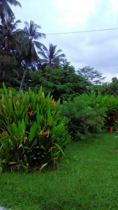 Dir's Homestay Pelangai Picture 7