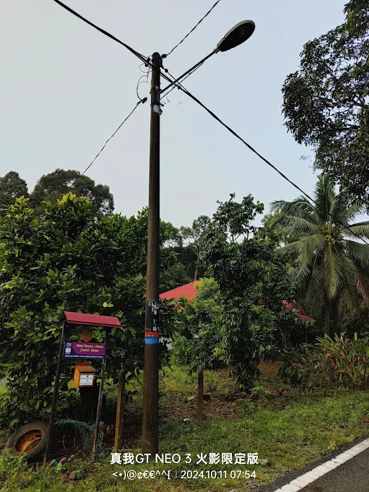 Felda Ulu Jempol Picture 1