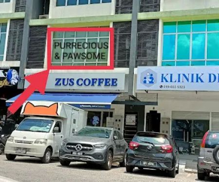 Kay Z Empire