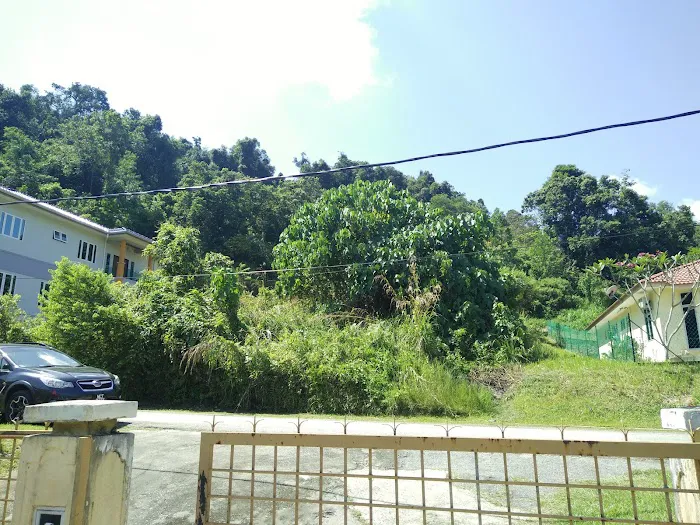 Sitna's Homestay - Simpang Kallang Picture 4