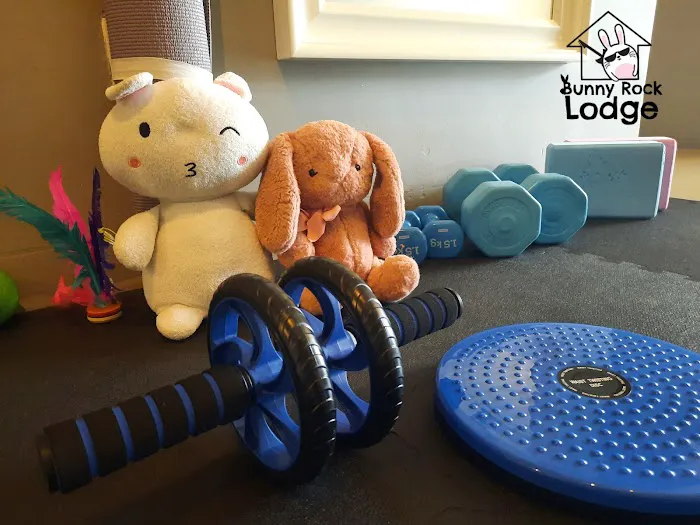 Homestay Bunny rock lodge Picture 8