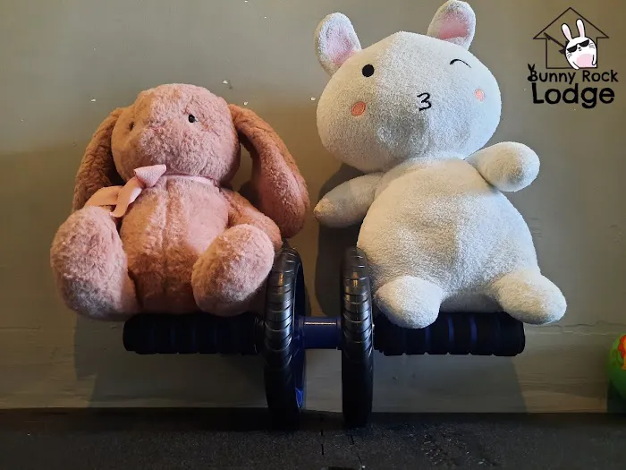 Homestay Bunny rock lodge Picture 6
