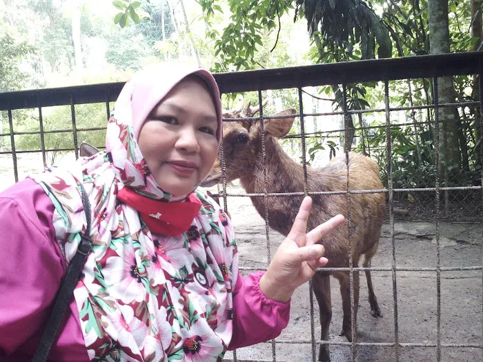 Zai's Guesthouse dan homestay Picture 9