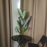 Homestay D'Sungai Ular, K.Lipis