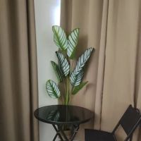Homestay D'Sungai Ular, K.Lipis ico